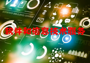 軟件和信息技術(shù)服務(wù)行業(yè)運(yùn)行態(tài)勢(shì)與競(jìng)爭(zhēng)格局分析 附報(bào)告目錄