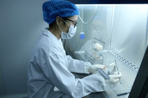 服務(wù)類 高新區(qū)優(yōu)秀產(chǎn)業(yè)展示 二